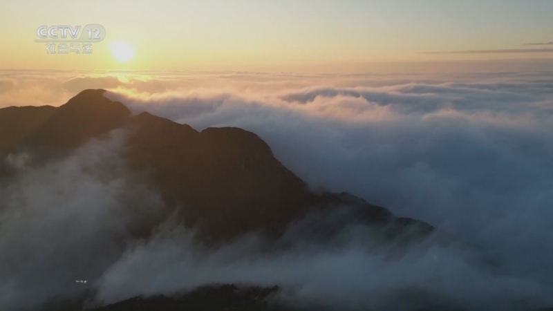 《生命线》 20251017