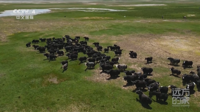 《远方的家》 20250924 “光明天路” 点亮高原