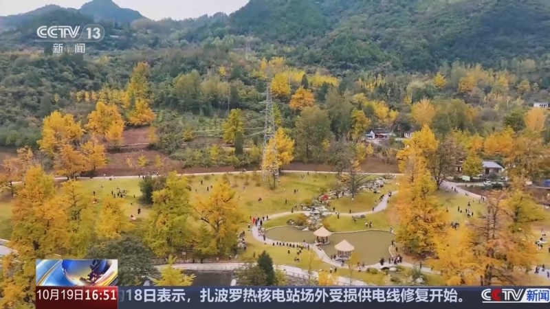 《新闻直播间》 20251019 16:00