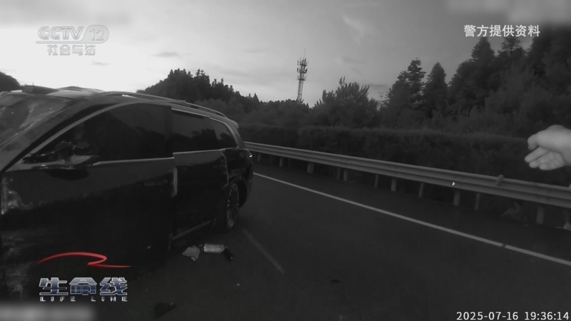 《生命线》 20251021