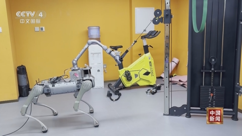 《中国新闻》 20251021 04:00