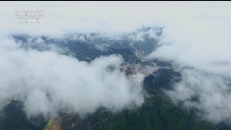 《谁知盘中餐》 20251021 丰收来敲门 向新之路