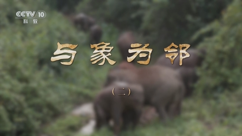 《探索·发现》 20251021 与象为邻（2）