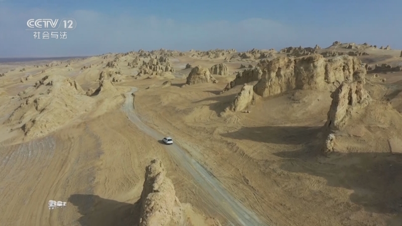 《生命线》 20251029