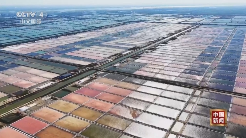 《中国新闻》 20251101 06:00