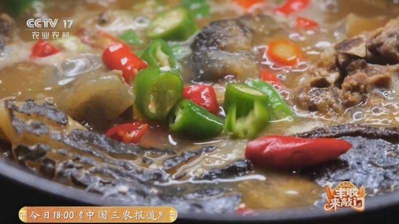 《谁知盘中餐》 20251110 丰收来敲门 “硬核”丰收宴