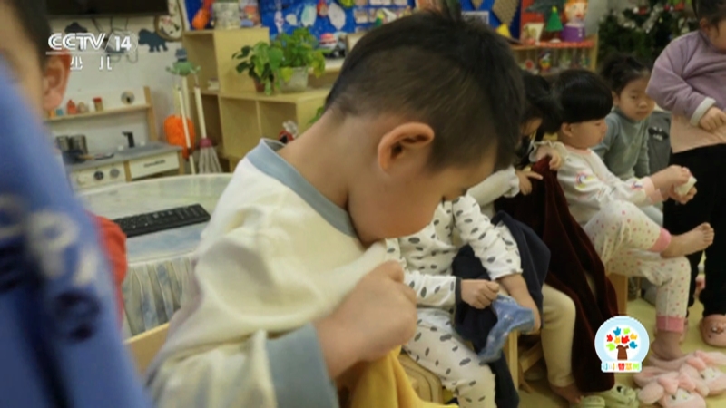 《小小智慧树》 20251117