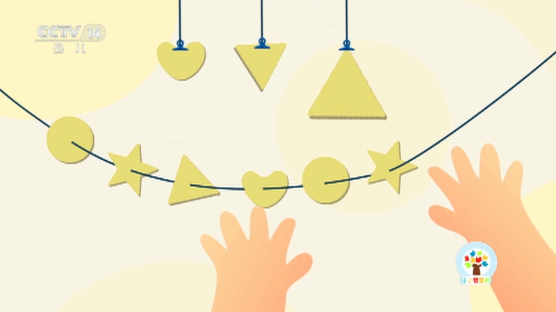 《小小智慧树》 20251202