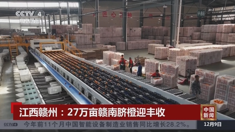 《中国新闻》 20251209 07:00