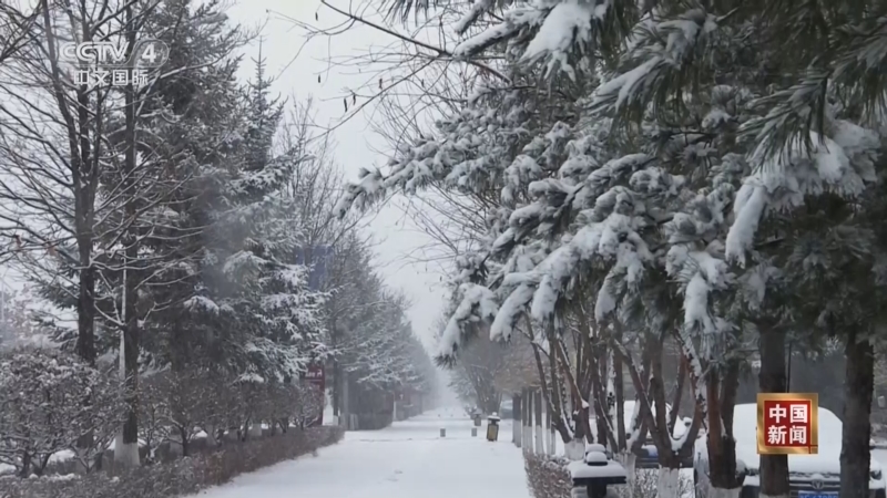 《中国新闻》 20251211 10:00