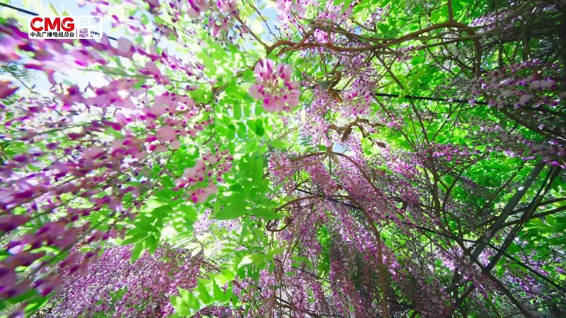 云南武定狮子山 坠入斑斓的油画里