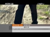 《法律讲堂(生活版)》 20150423 妻强夫弱CCTV节目官网CCTV12央视网(cctv.com)