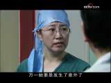 情证今生 24集