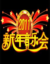 央视11新年音乐会
