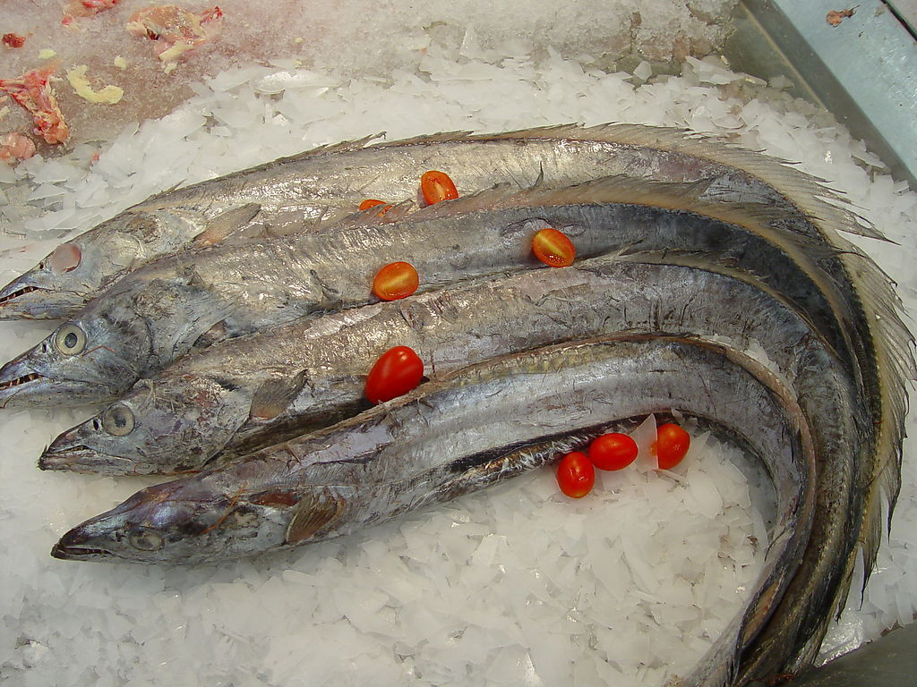      