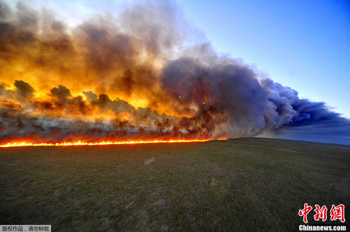     