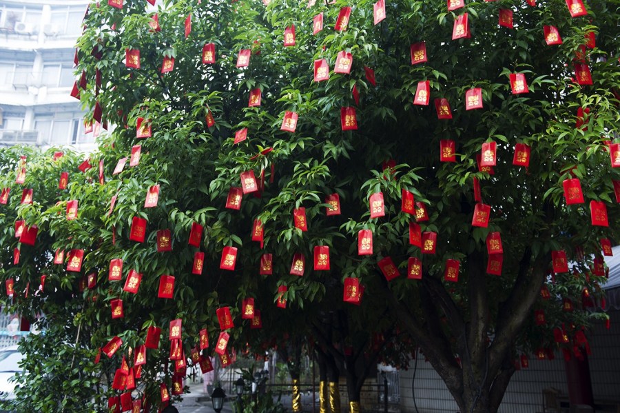 com_mongol home page