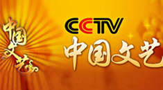 Cctv 4中文国际频道 亚 直播 Cctv节目官网 央视网