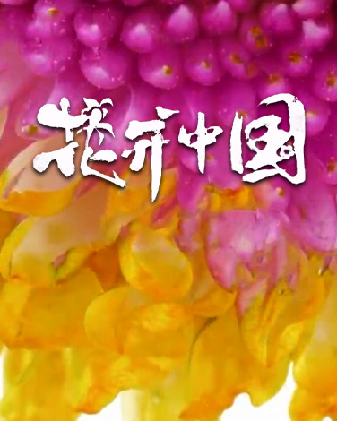 《花开中国》
