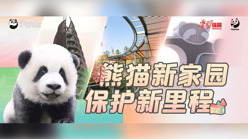 熊猫新家园 保护新里程