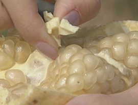 农田餐桌——三白石榴三黄鳖