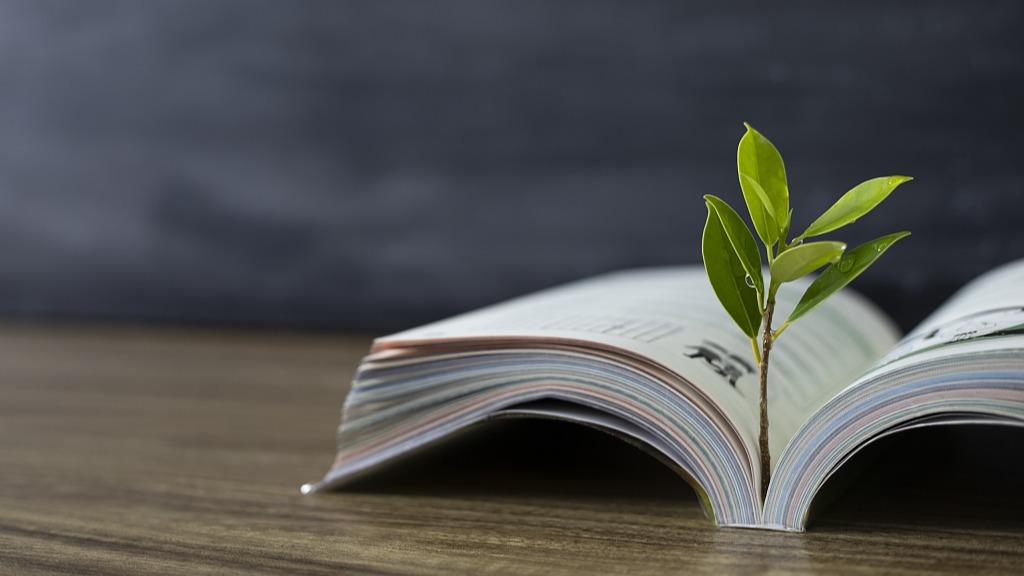 2024教育工作怎么干？各地教育部门负责人这样说