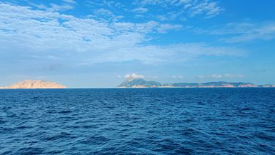 构建港产城融合新格局 谱写城市发展新篇章