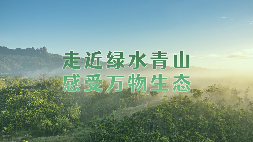 高清直播!中國(guó)足球賽事在線觀看平臺(tái)