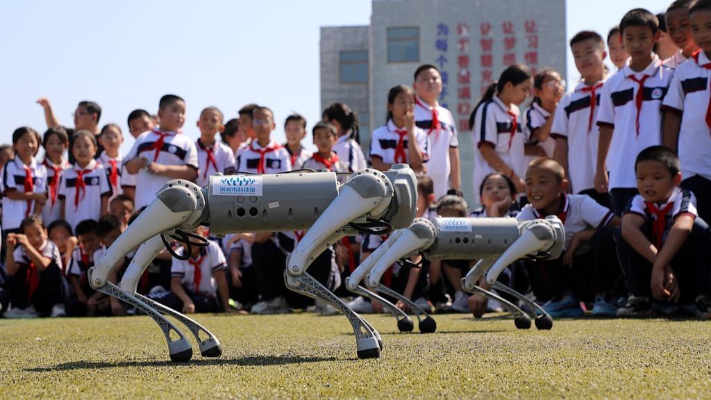 中小学科技教育要防止功利化倾向