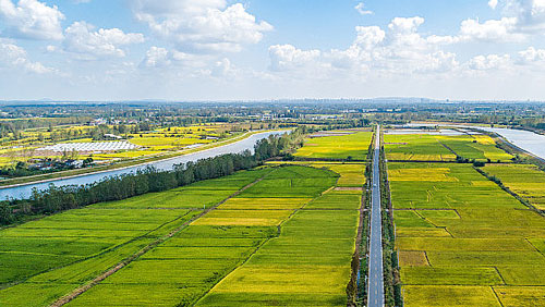 “十四五”我国新建改造高标准农田4.6亿亩