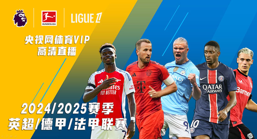 成都蓉城下賽季引援計(jì)劃分析！主力陣容還差一個(gè)斯坦丘，值得期待