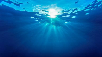 海洋碳研究盲点或影响全球气候预测