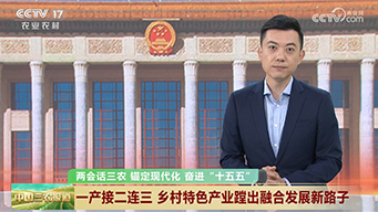 一产接二连三 乡村特色产业蹚出融合发展新路子