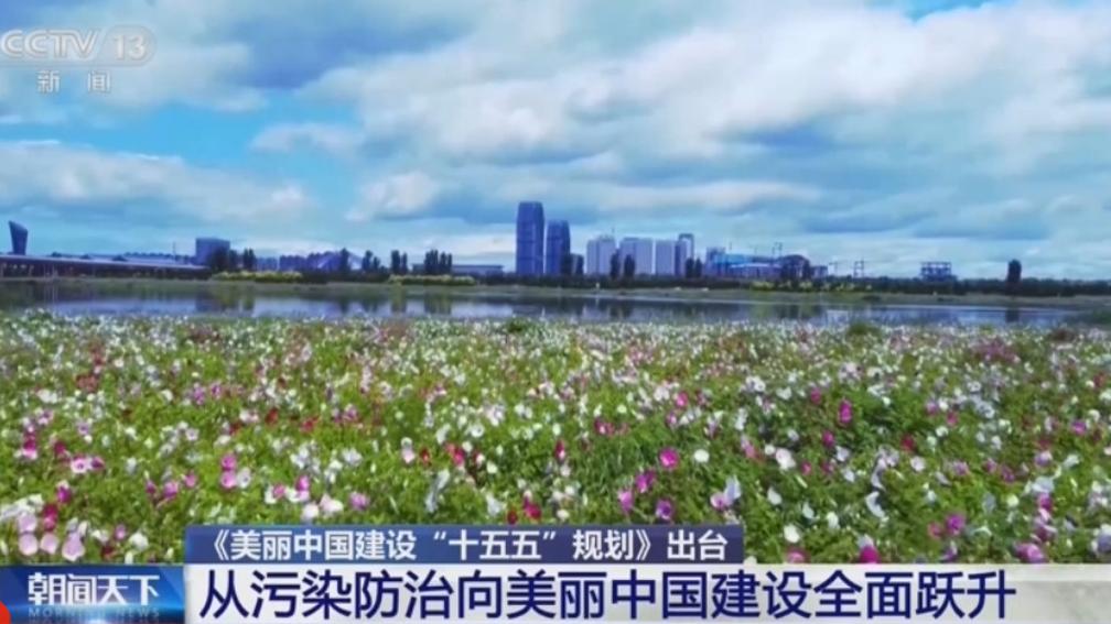 七大任务绘就“十五五”绿色生态蓝图 美丽中国建设成效可感可及