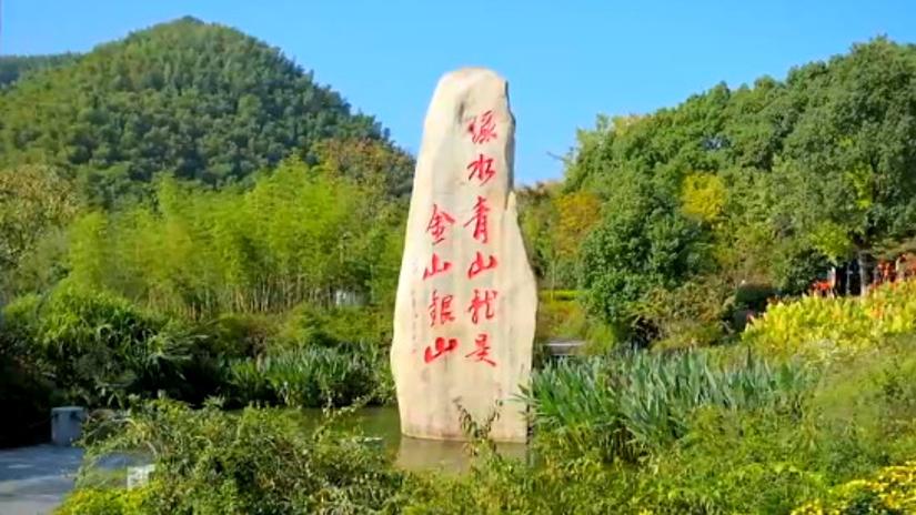 领航丨共绘美丽中国新画卷