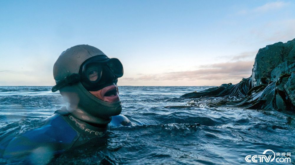 不借助任何器材 自由潜水员潜泳32公里横越海峡