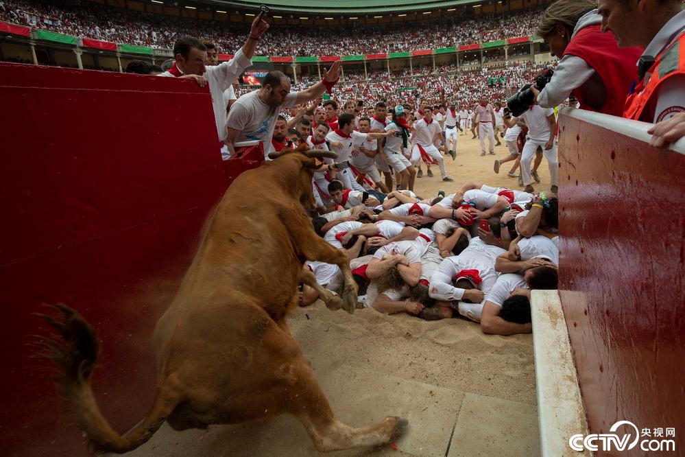 西班牙奔牛节人牛追逐惊心动魄