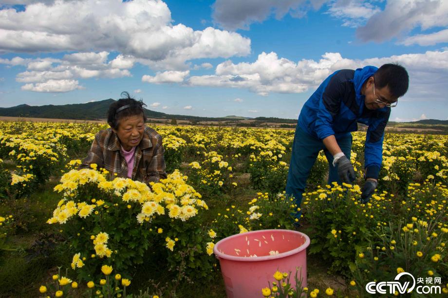 【边疆党旗红】边城小南河：那一抹红点亮了初心