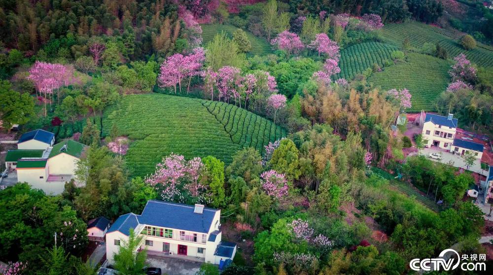 溧阳葫芦村图片