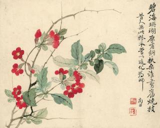传世墨迹——一代没骨宗师恽寿平《瓯香馆写生图》_央博_央视网