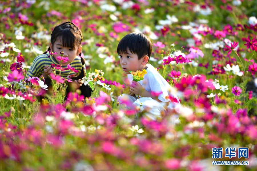 优享资讯 花海迎春