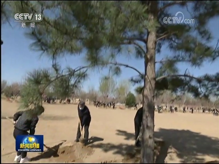 习近平在参加首都义务植树活动时强调 牢固树立绿水青山就是金山银山理念 打造青山常在绿水长流空气常新美丽中国