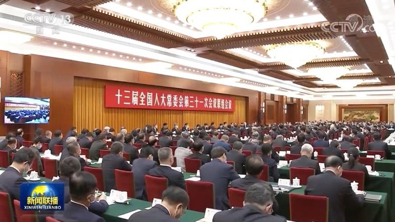 十三届全国人大常委会第三十一次会议举行联组会议