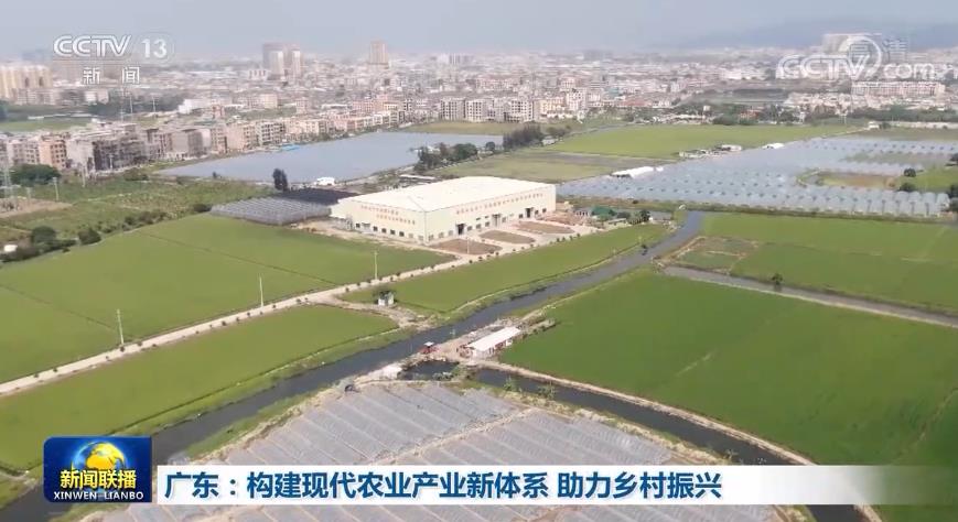 广东：构建现代农业产业新体系 助力乡村振兴