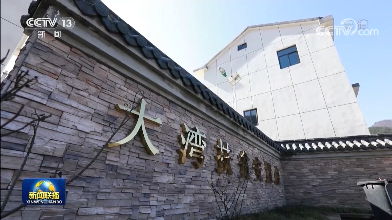 【一枝一叶总关情】大湾村的巨变