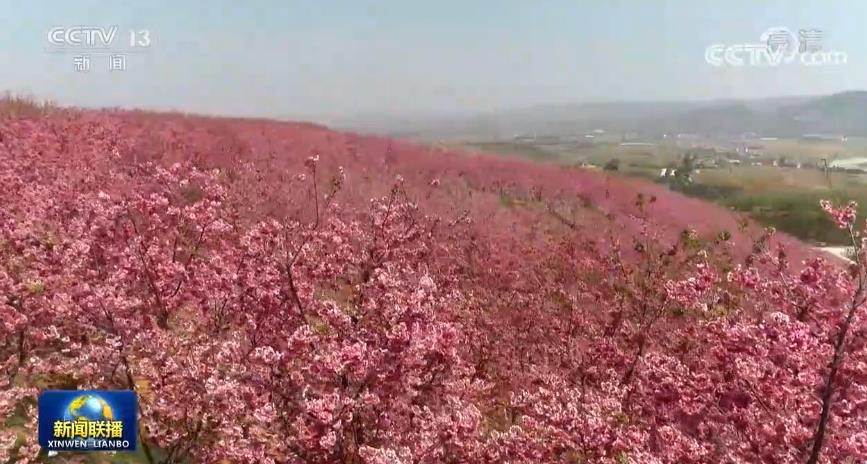 春日大地景如画 美丽乡村惠农家