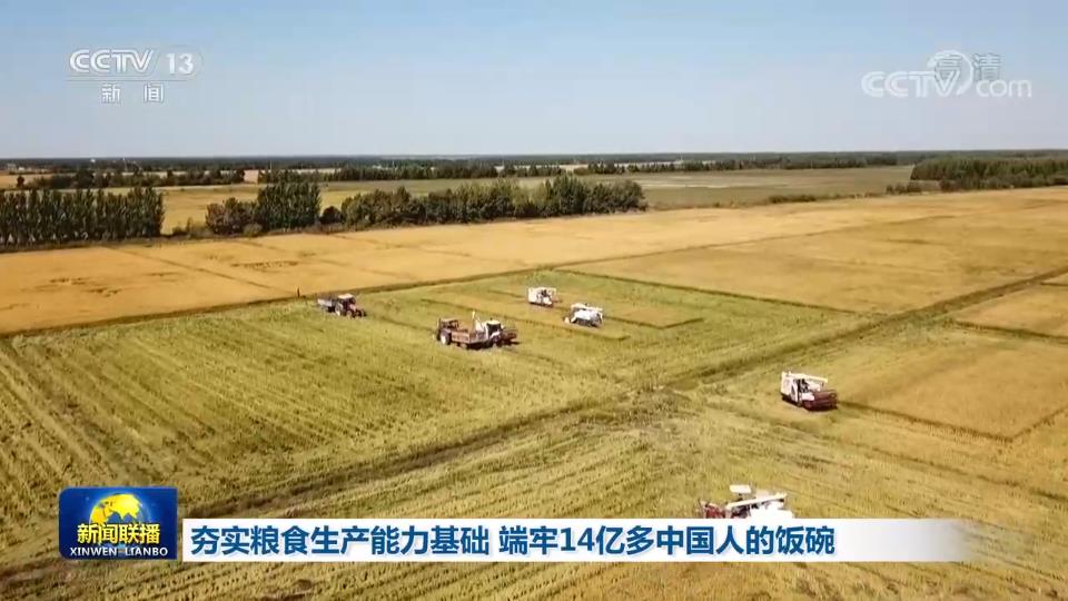 【在习近平新时代中国特色社会主义思想指引下】夯实粮食生产能力基础 端牢14亿多中国人的饭碗