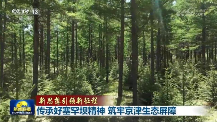 【新思想引领新征程】传承好塞罕坝精神 筑牢京津生态屏障