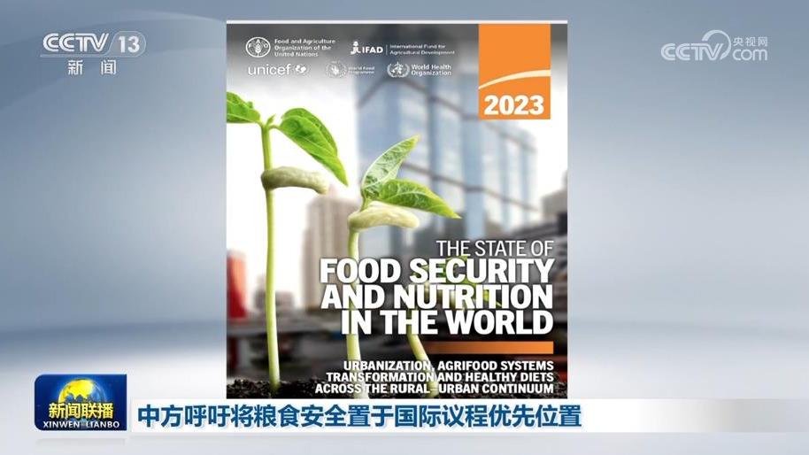 中方呼吁将粮食安全置于国际议程优先位置
