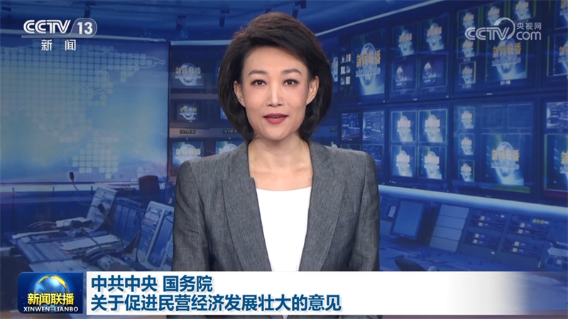 中共中央 国务院关于促进民营经济发展壮大的意见